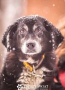 roni[4].jpg